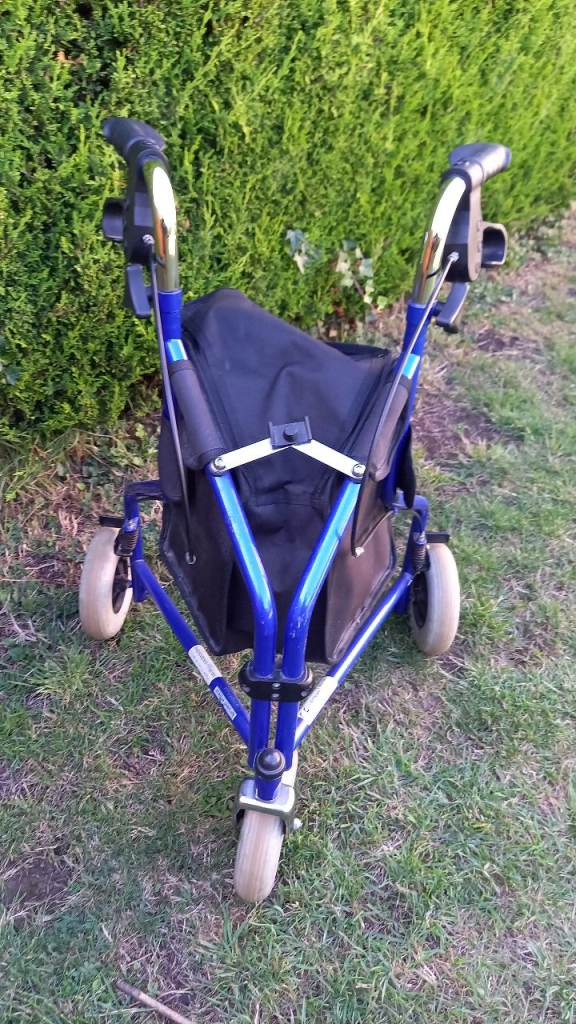 Wheeltech walking aid