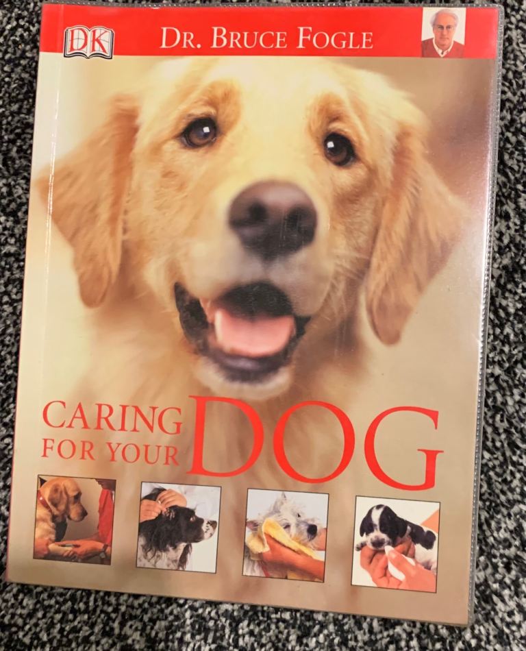 Caring for your dog. 