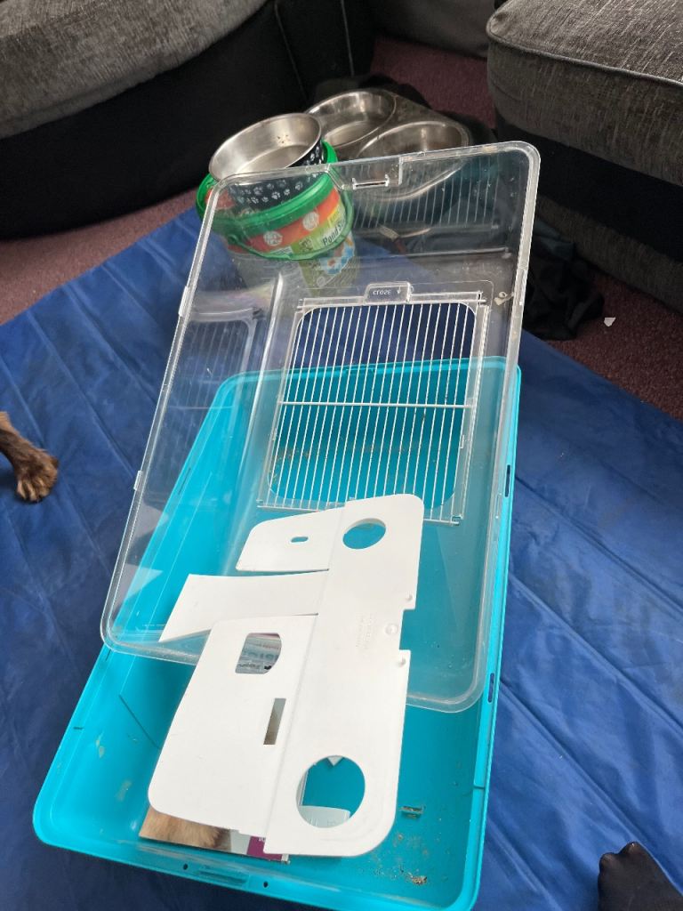 Hamster cage
