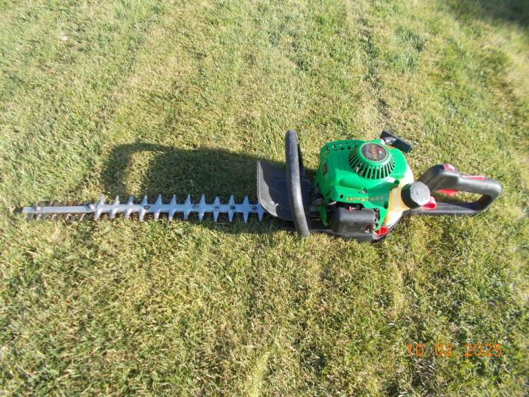 ACTIVE PETROL HEDGETRIMMER