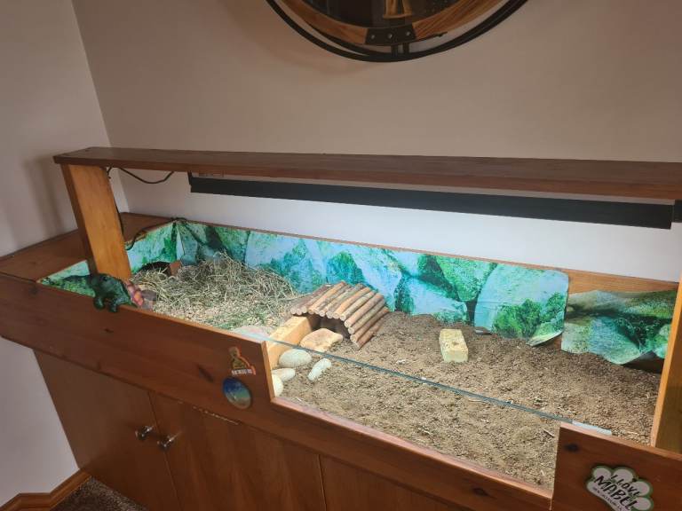 TORTOISE TABLE