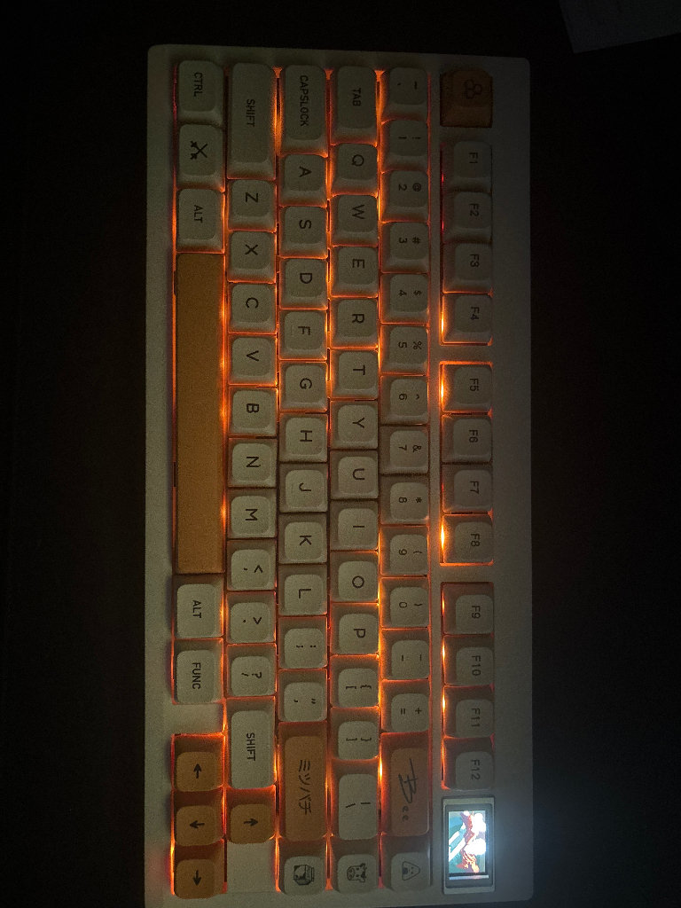 Custom Keyboard (GMK81, Lubed Glorious Pandas, XDA Keycaps)
