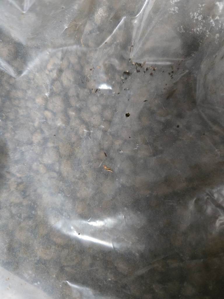 Clay pebbles for plants and soil