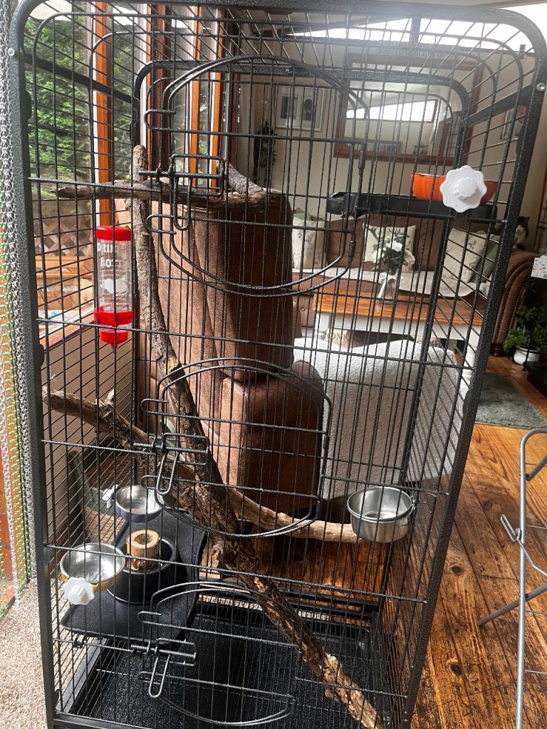 Large Black Metal Pet Cage with Accessories