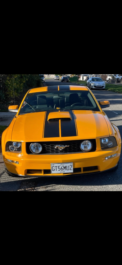 Ford, MUSTANG GT AUTO, 2007, 4600 (cc)