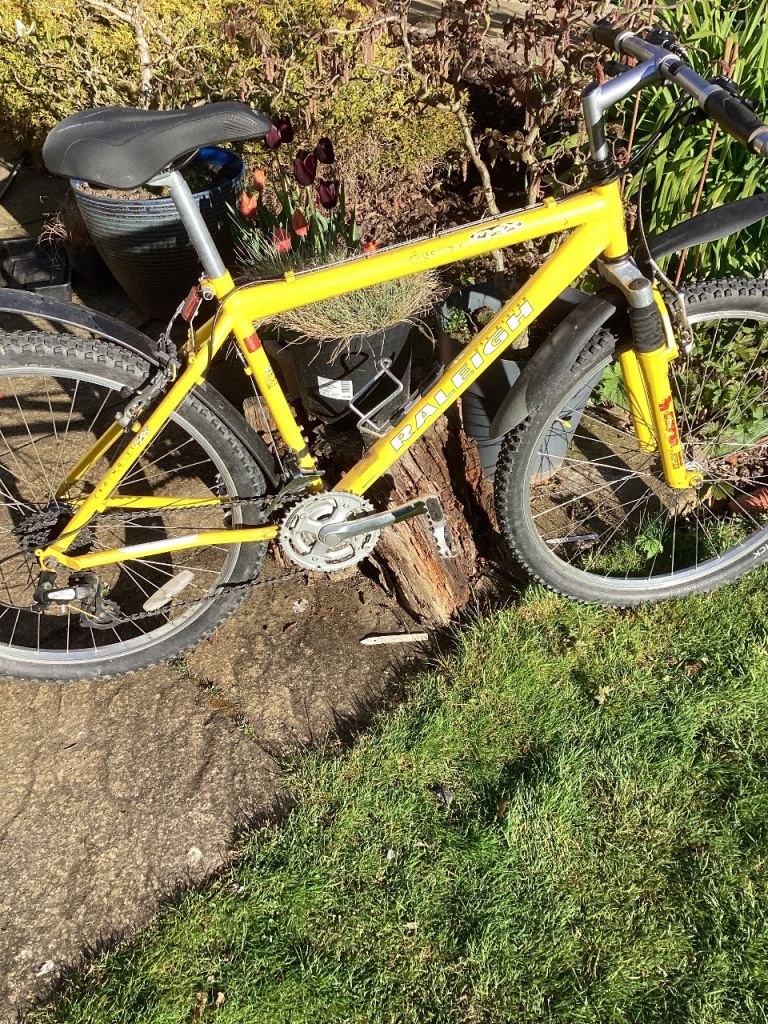 USA Design Raleigh Mountain Bike