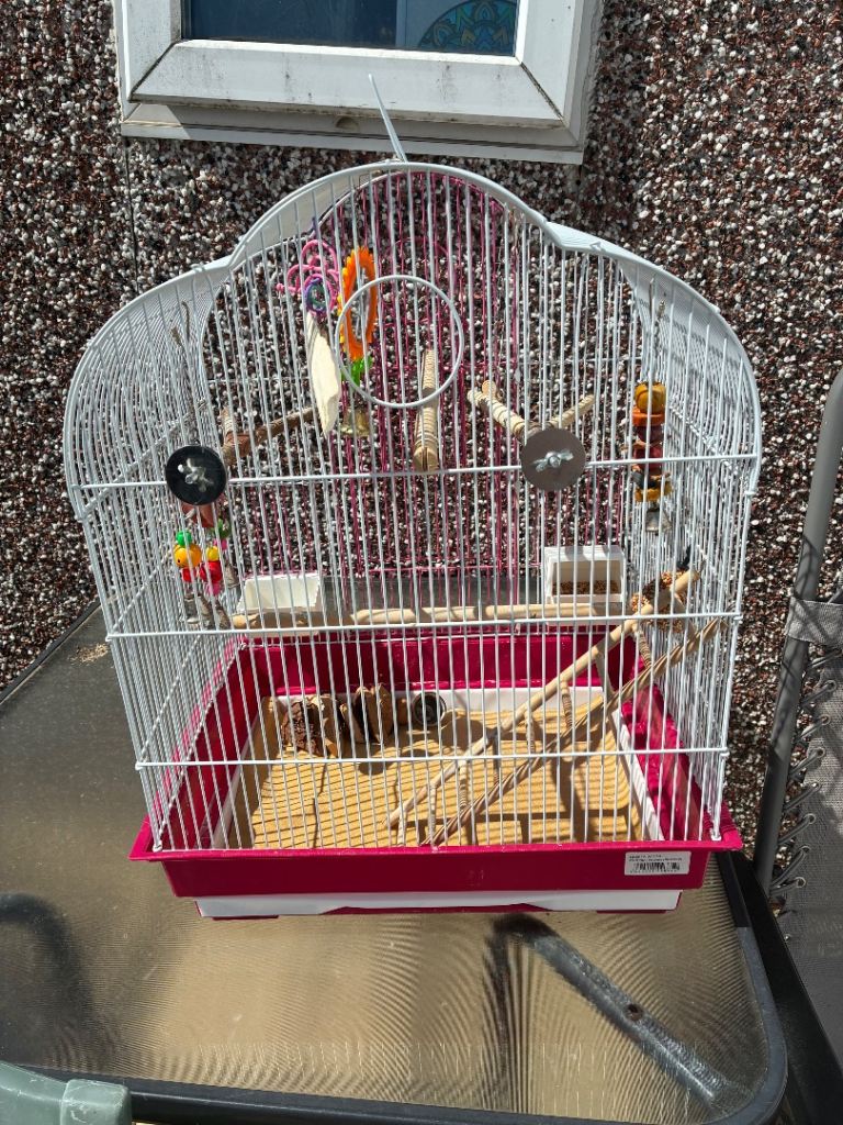Bird cage 