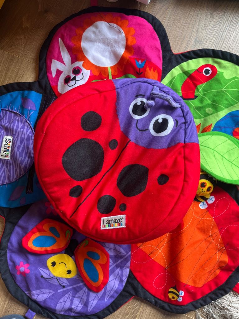 Lamaze Spin and Explore