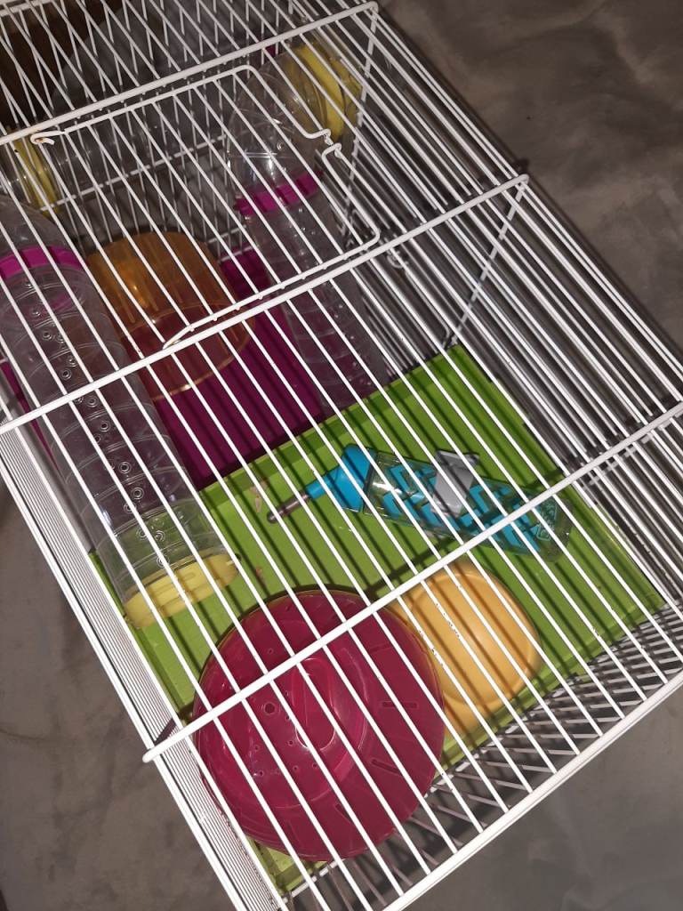 Hamster cage
