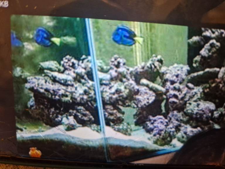 Large Glass Aquarium Fish Tank with Live Rock