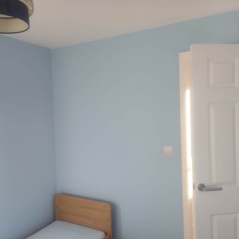 Painter and decorator 