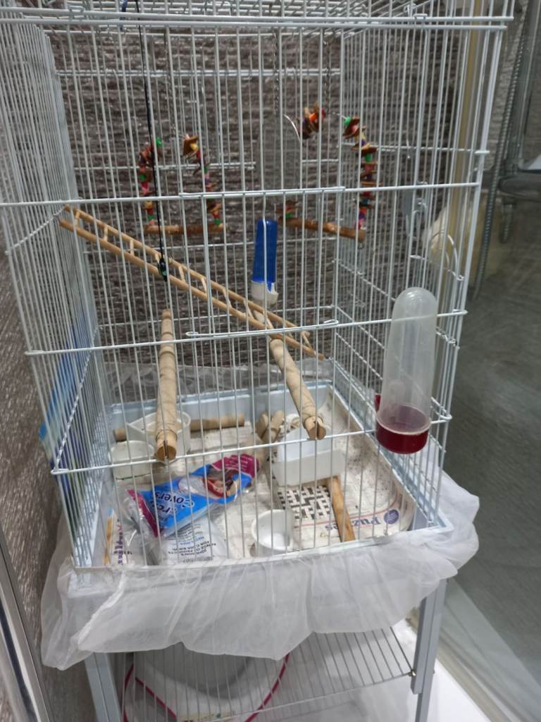 Large bird cage with accessories