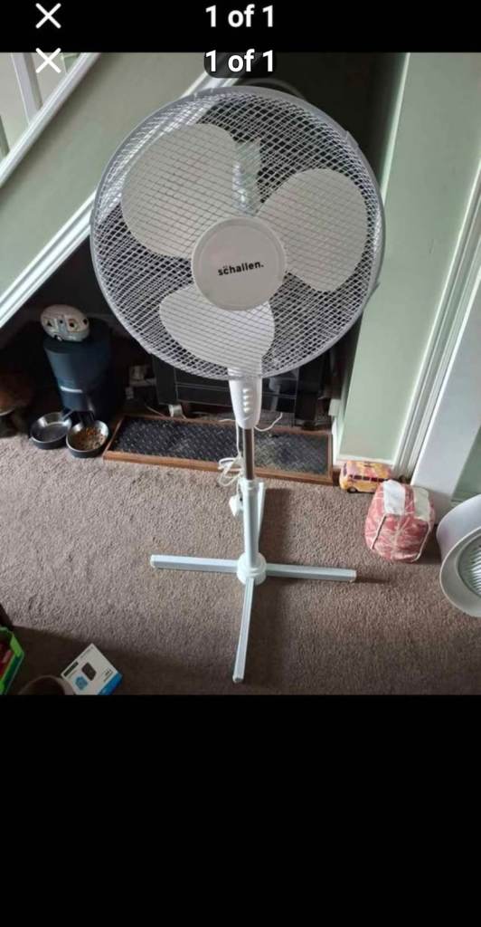 *** PEDESTAL FAN WITH 3 SPEEDS AND IT OSCULATES £30 ***