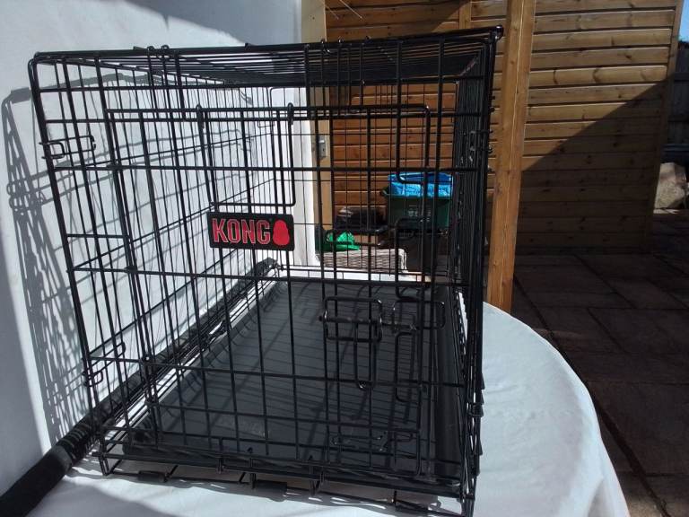 Kong dog crate 