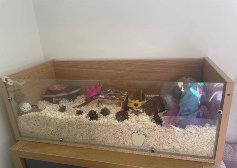 Small Animal Enclosure & Accessories