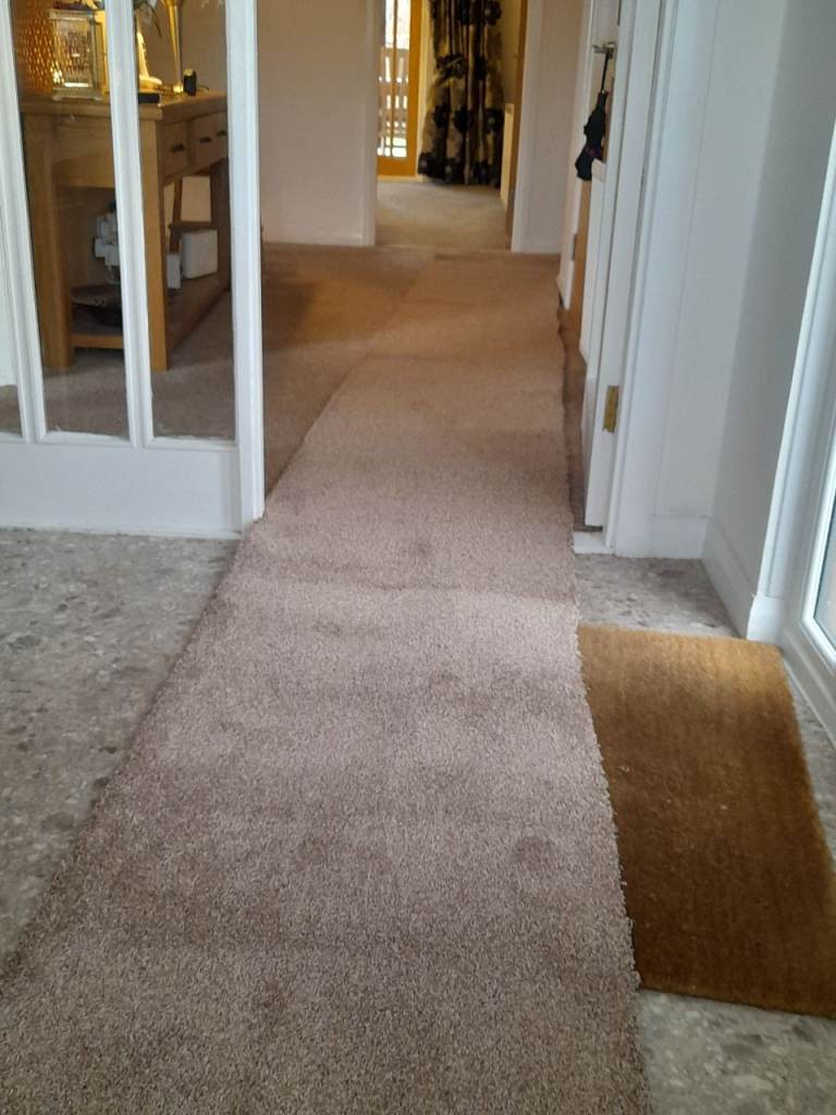 LONG PIECE OF CARPET