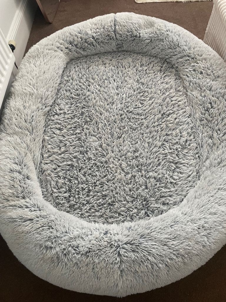 Human dog bed