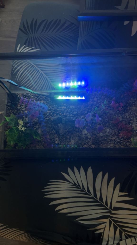 Aquarium fully set up 