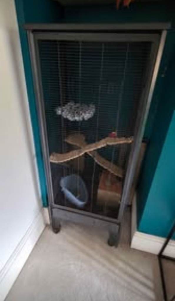 Pet Cage