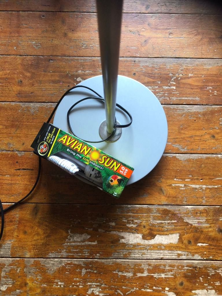 Avian sun bird lamp 
