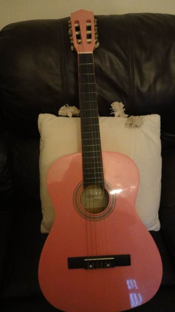 ELEVATION 6 STRING PINK ACOUSTIC GUITAR 