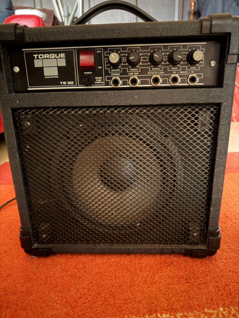Vintage Torque tb30 bass amp