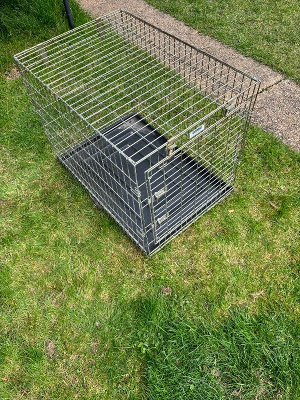 Dog cage 