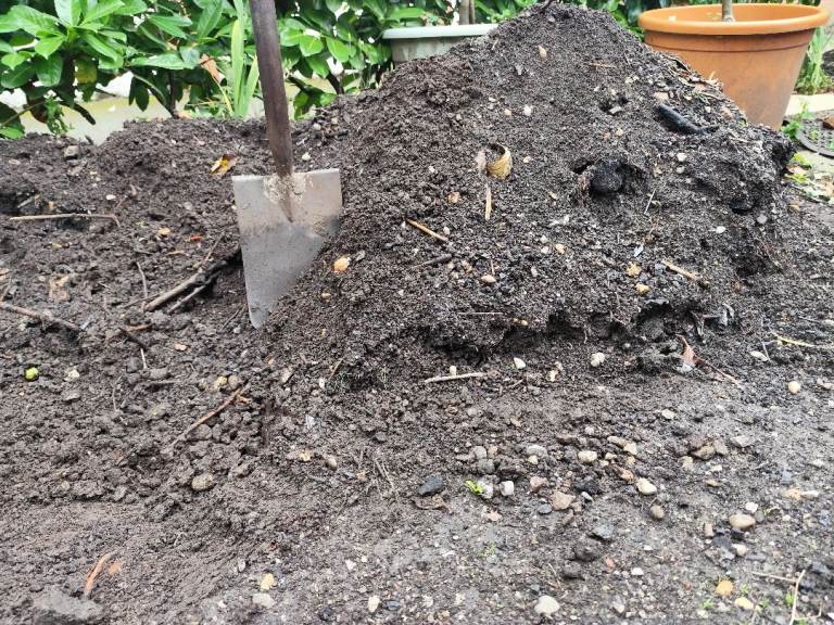 Soil for free 29/08/26