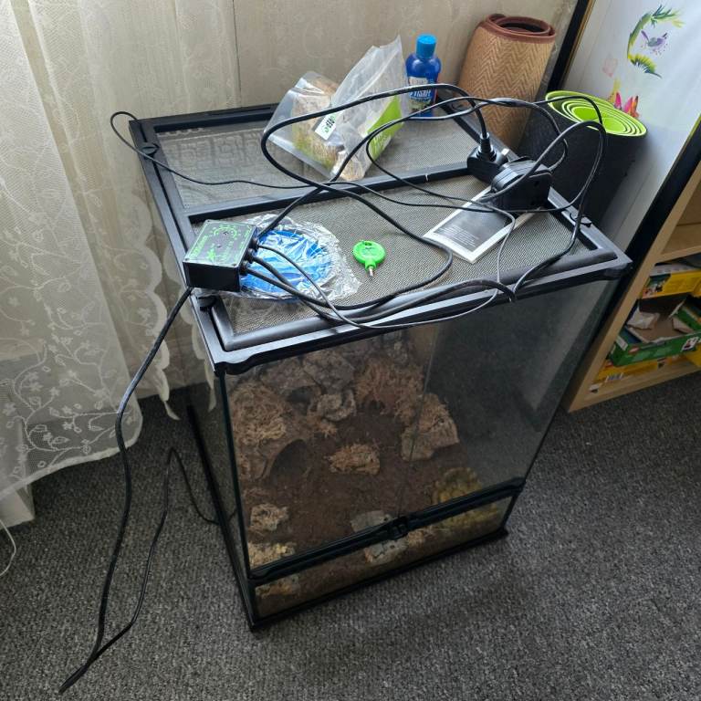 Mid size terrarium