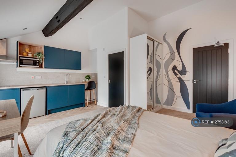 Studio flat in Kelvin Grove, Liverpool, L8 (#2753183)