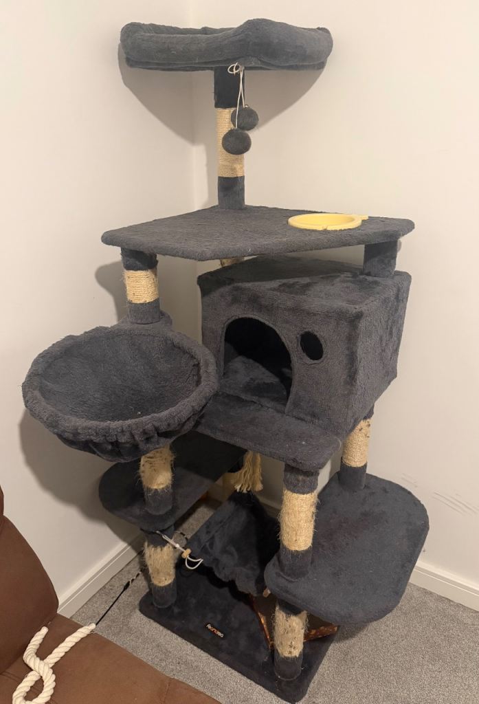 Big cat tree