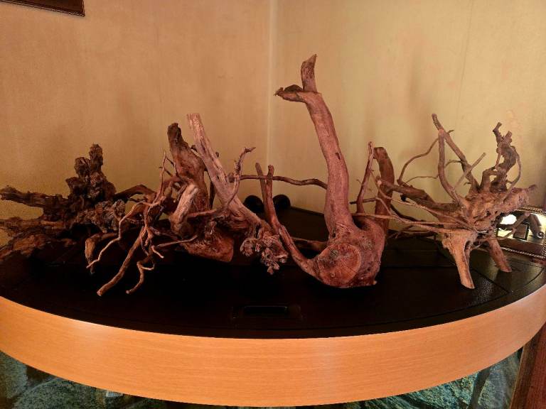 Aquarium wood 