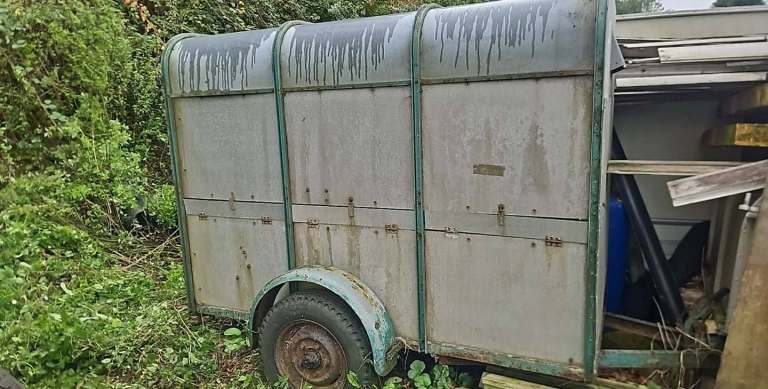 Ifor williams livestock trailer 