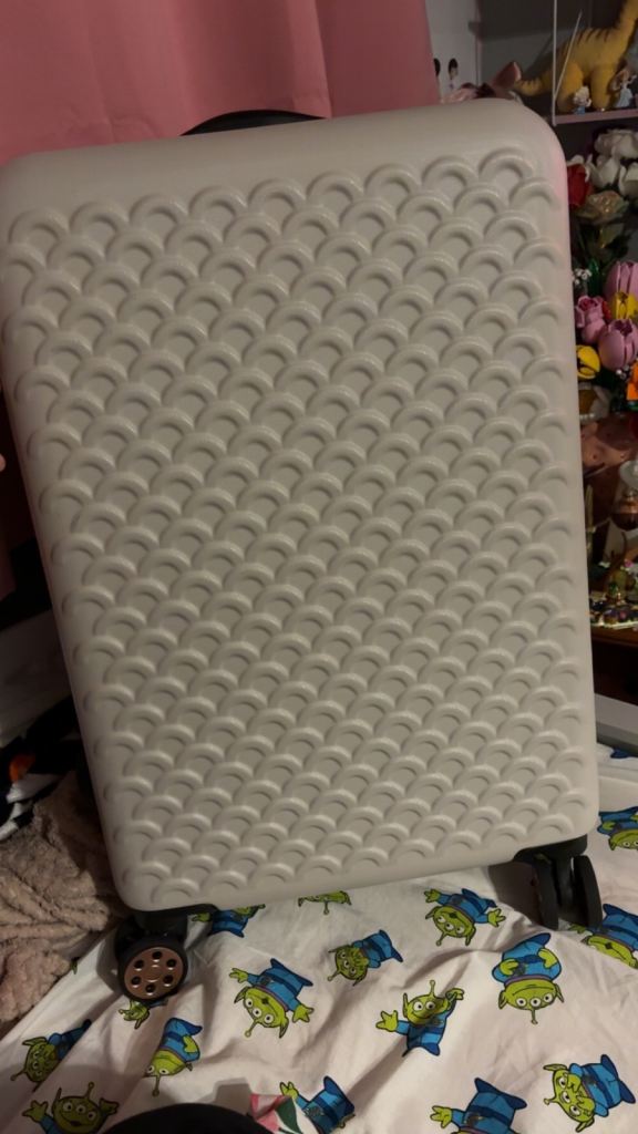 Grey medium suitcase