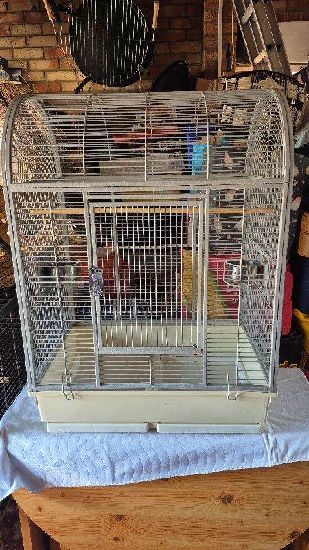 Bird Cage