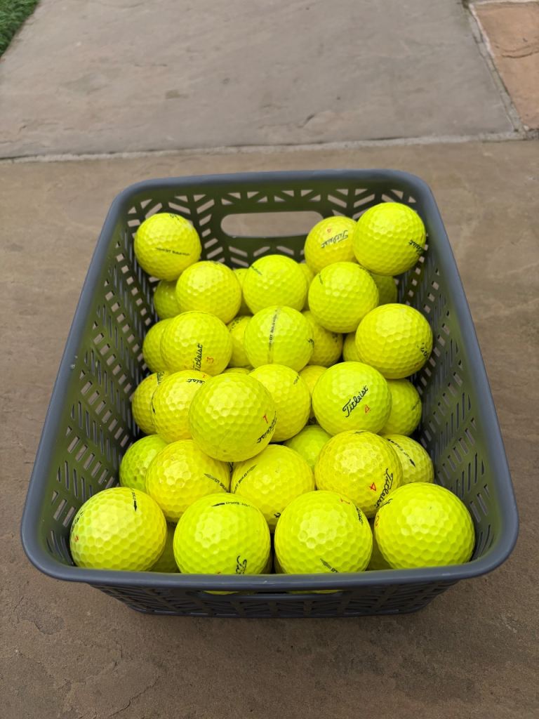 40 Titleist Golf Balls 