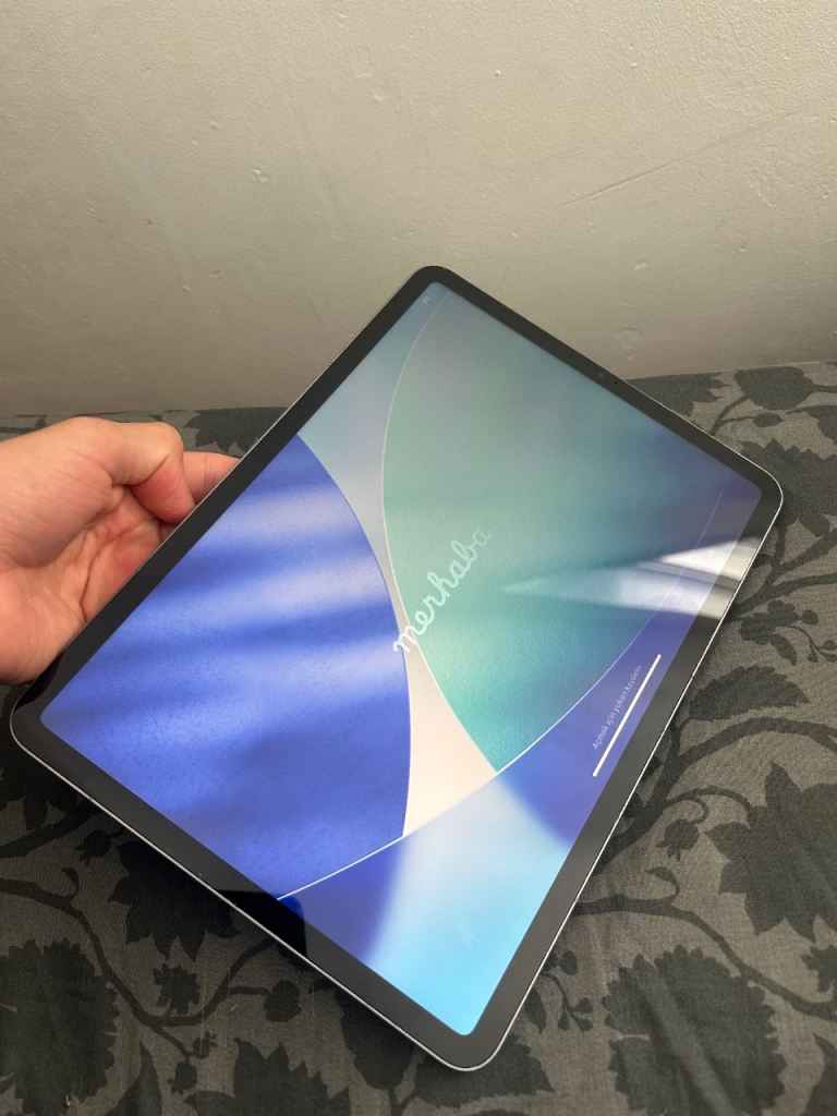 iPad Pro 11 inch (4generation) m2