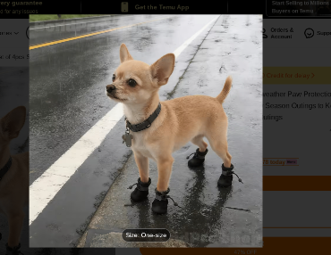 small dog boots