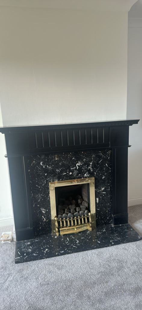 Free working gas fire and surround