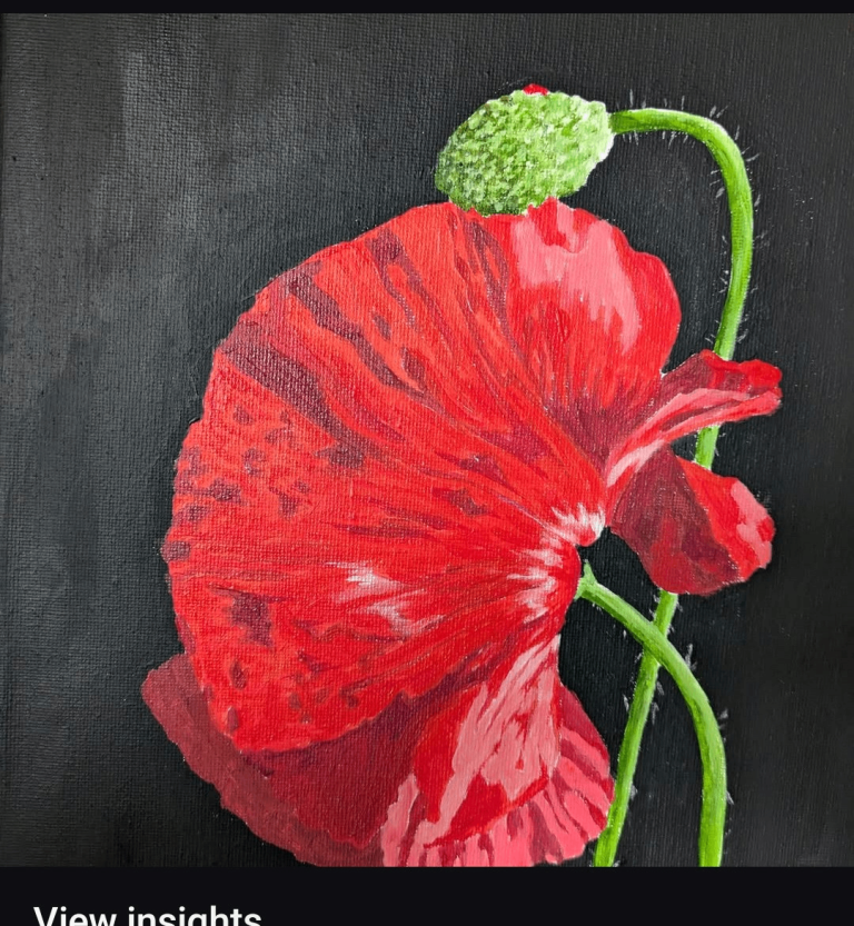 Art, paintings and prints. 