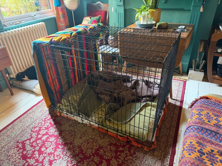 Large dog cage