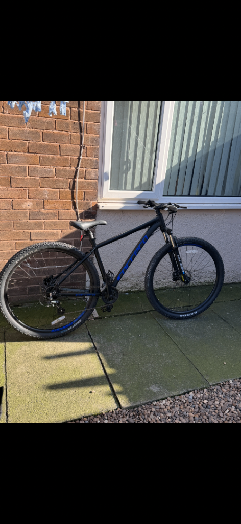 Carrera mountain bike 