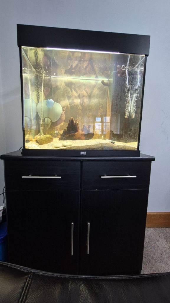 120L Fluval aquarium with Tropical fish