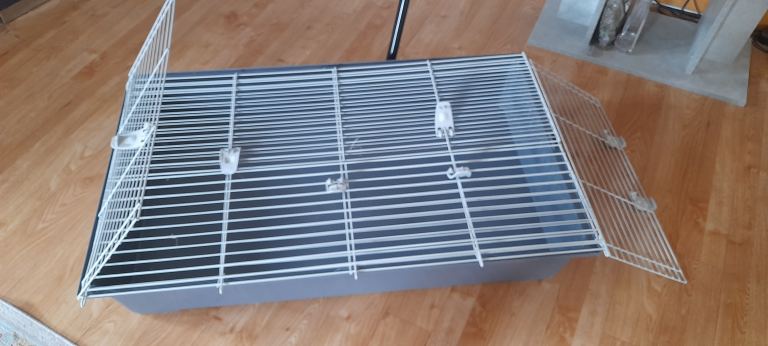 Guinea pig cage 
