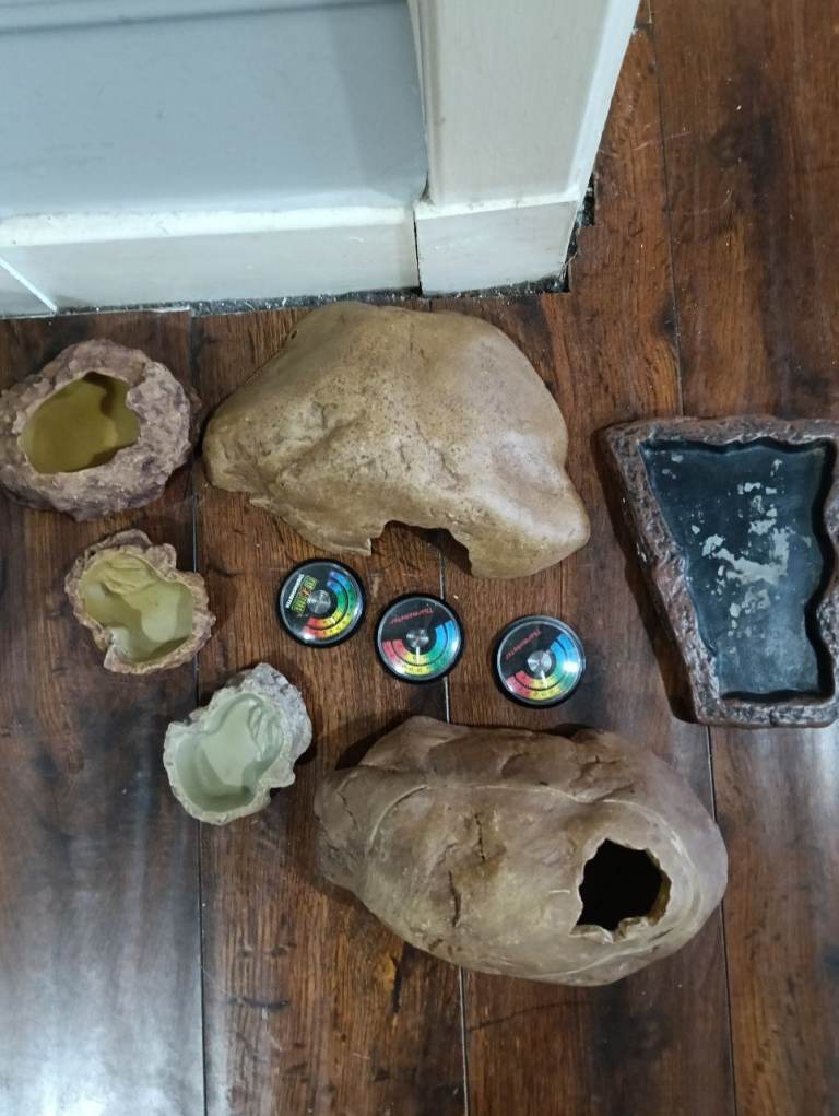 Reptile accessories 