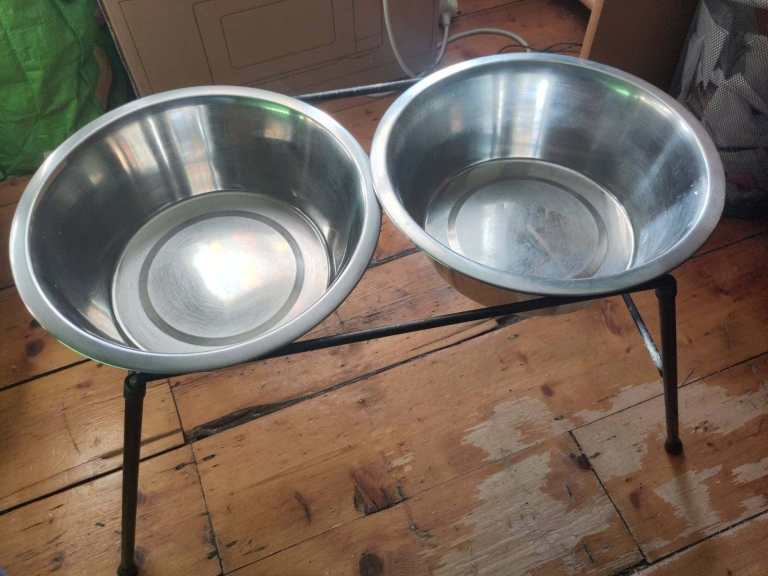 Free raised dog bowls