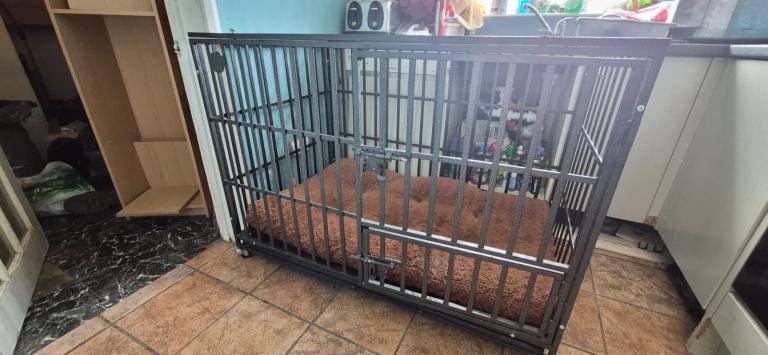 X-Large  dog crate 