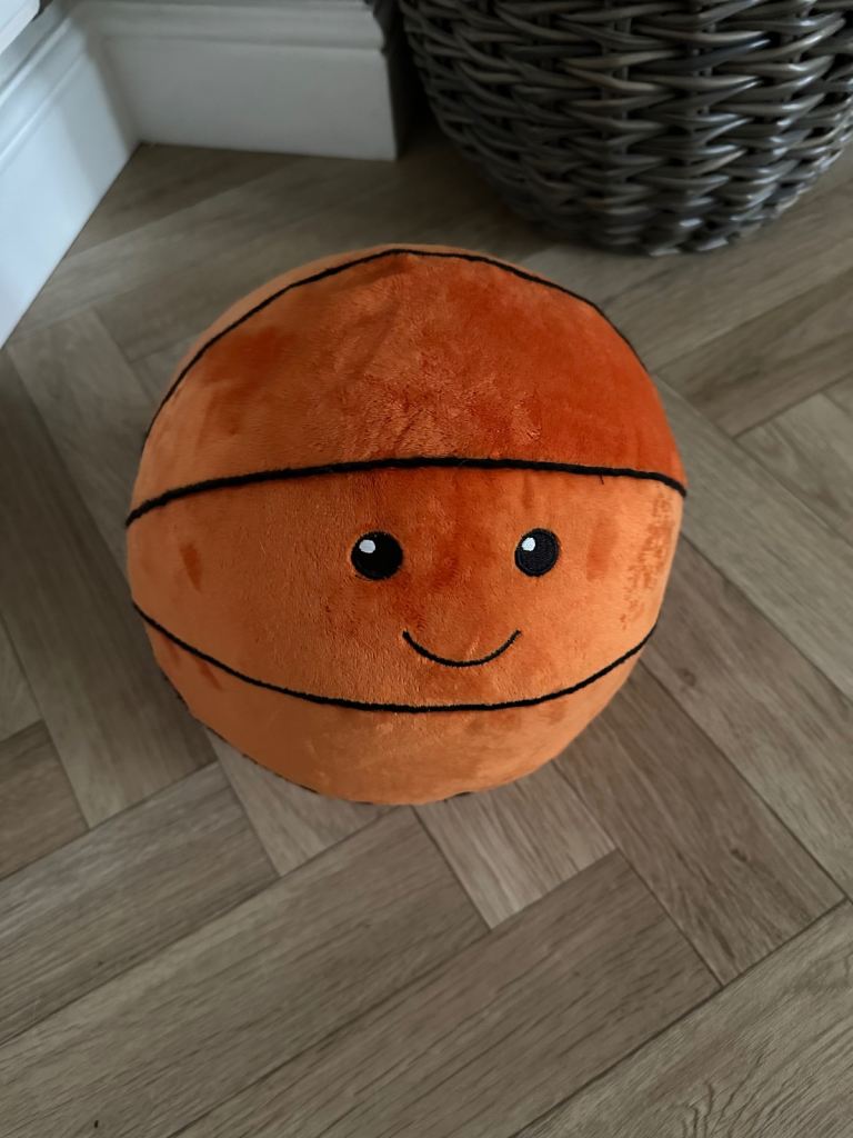 Large dog toy ball