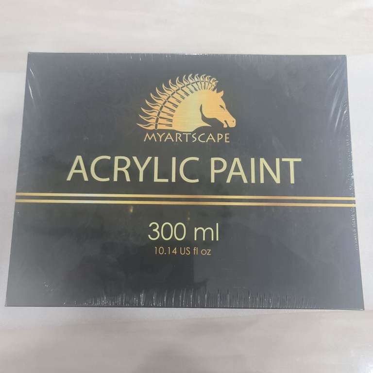 Acrylic Paint 12×300 ml