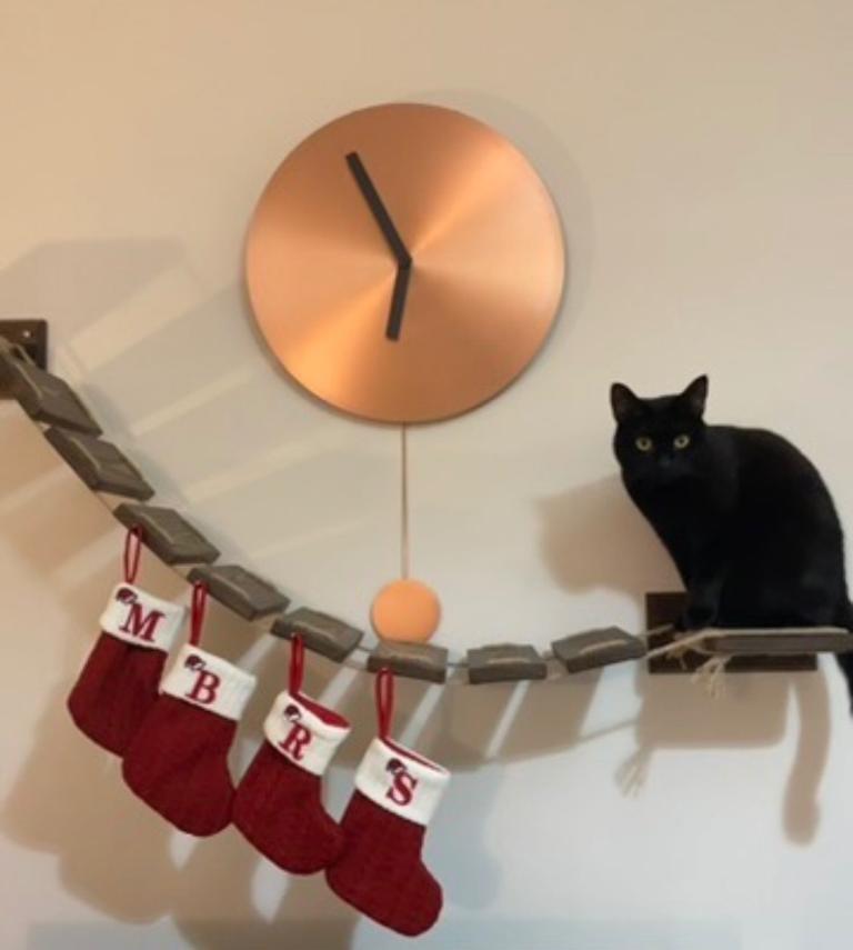Cat Bridge for Wall